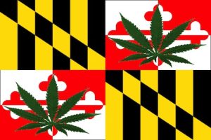 tokeofthetown2013 maryland flag