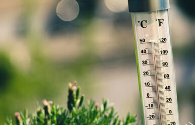 Insights Thermometer